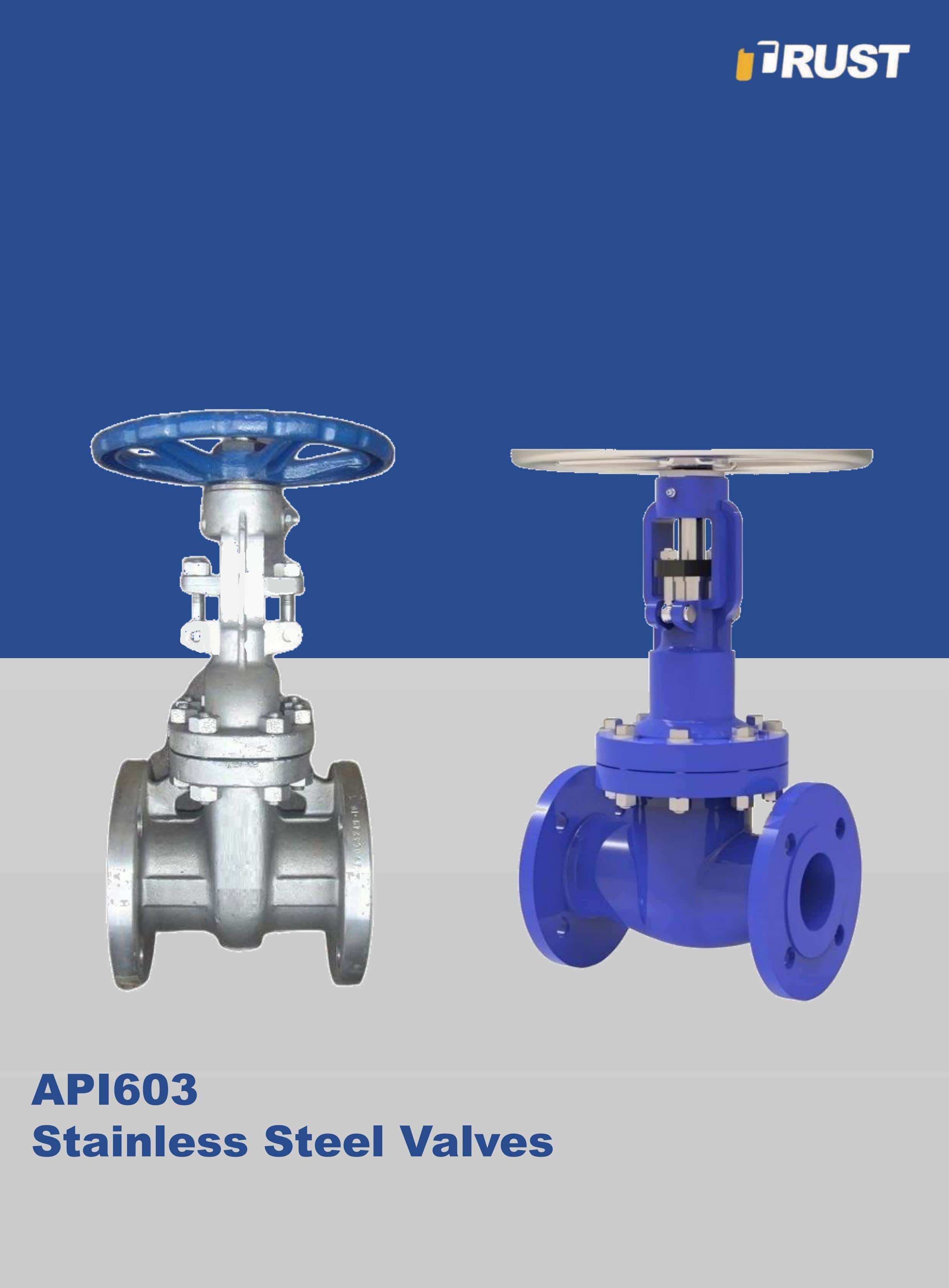 Valvole in Acciaio Inox