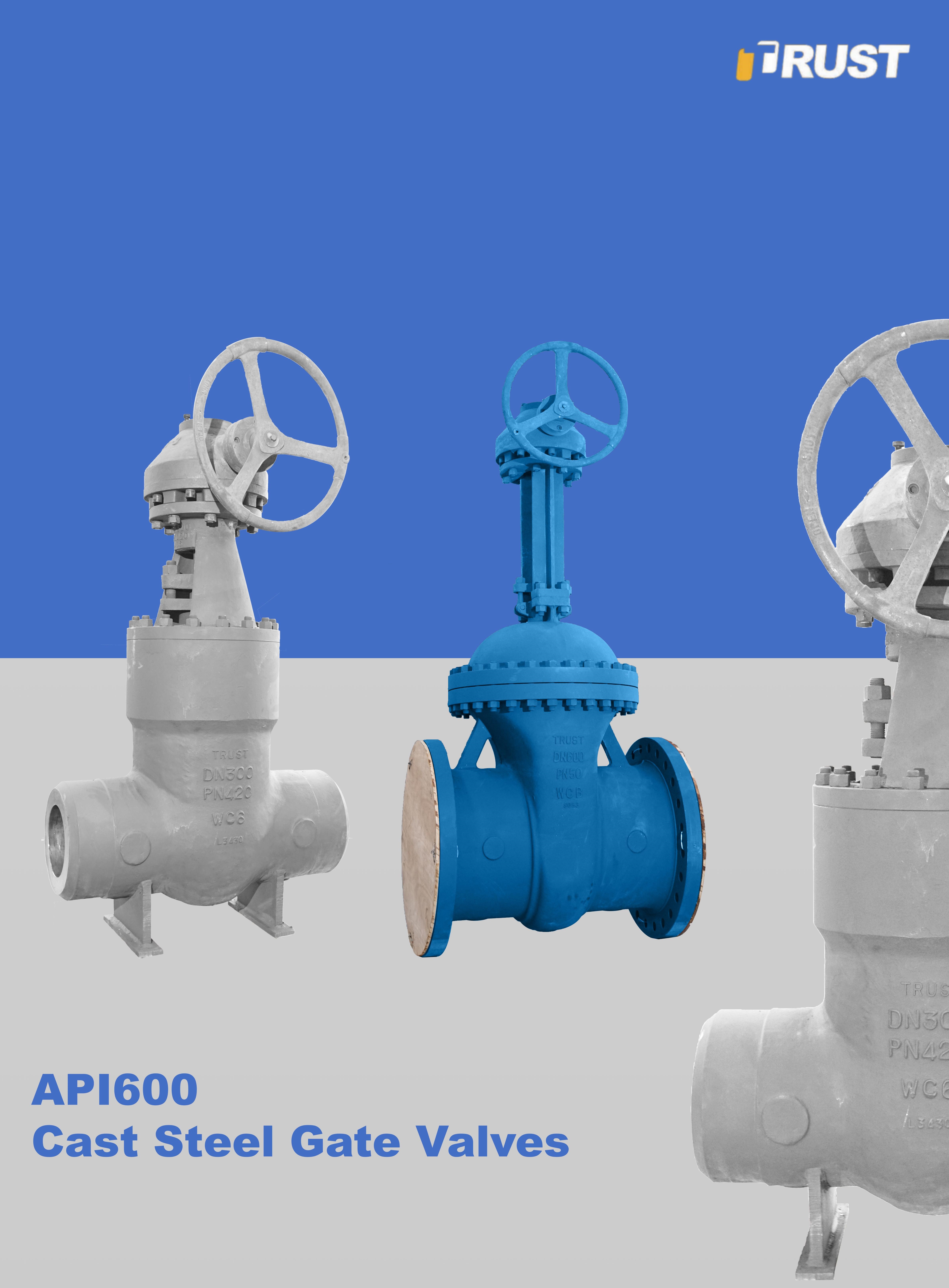 Valvole a Saracinesca in Acciaio Fuso