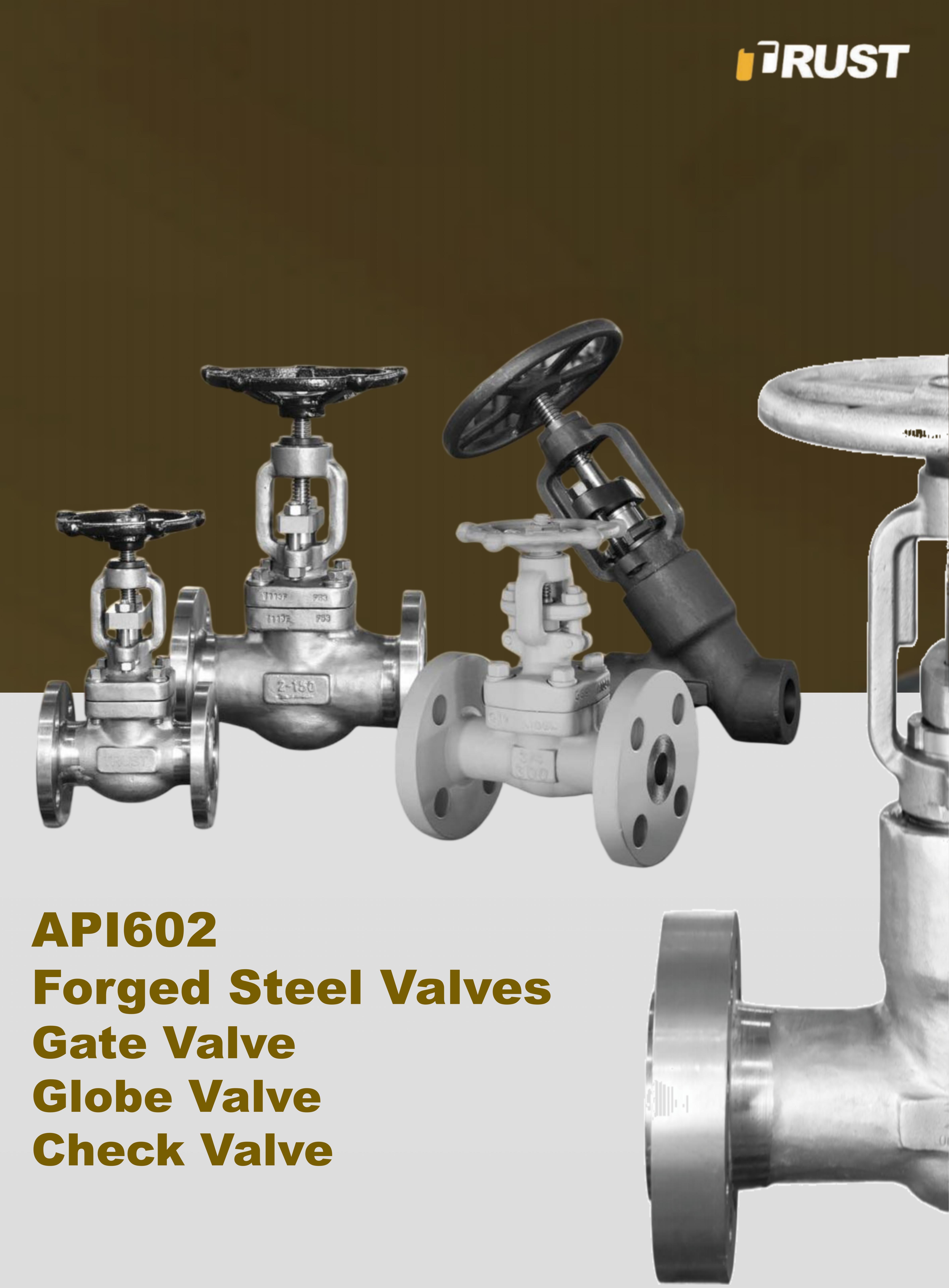 Valvole Forgiate in Acciaio GGC